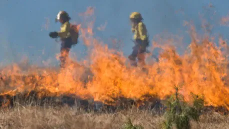 Are Wildfires Causing Major School District Closures in Los Angeles County?