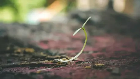 How Do Native Seeds Symbolize Luther College’s Values?