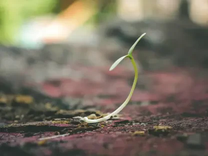 How Do Native Seeds Symbolize Luther College’s Values?