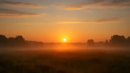 Limestone University’s Rise and Fall After 180 Years