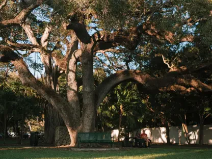 Will Deering Park Reshape the Future of Volusia Education?