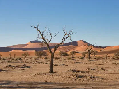 Namibia Faces Crisis Over Dilapidated School Infrastructure